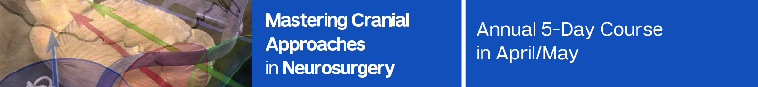 Mastering the Basics of Neurosurgery: Common Approaches